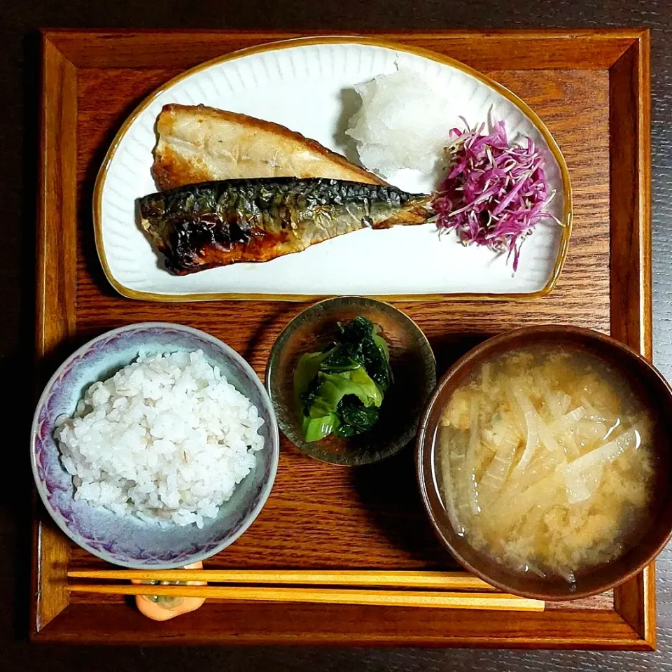 さばの塩焼き
もってのほか菊のおひたし
青菜漬け
大根とアサリのお味噌汁
もち麦ごはん|きつねさん