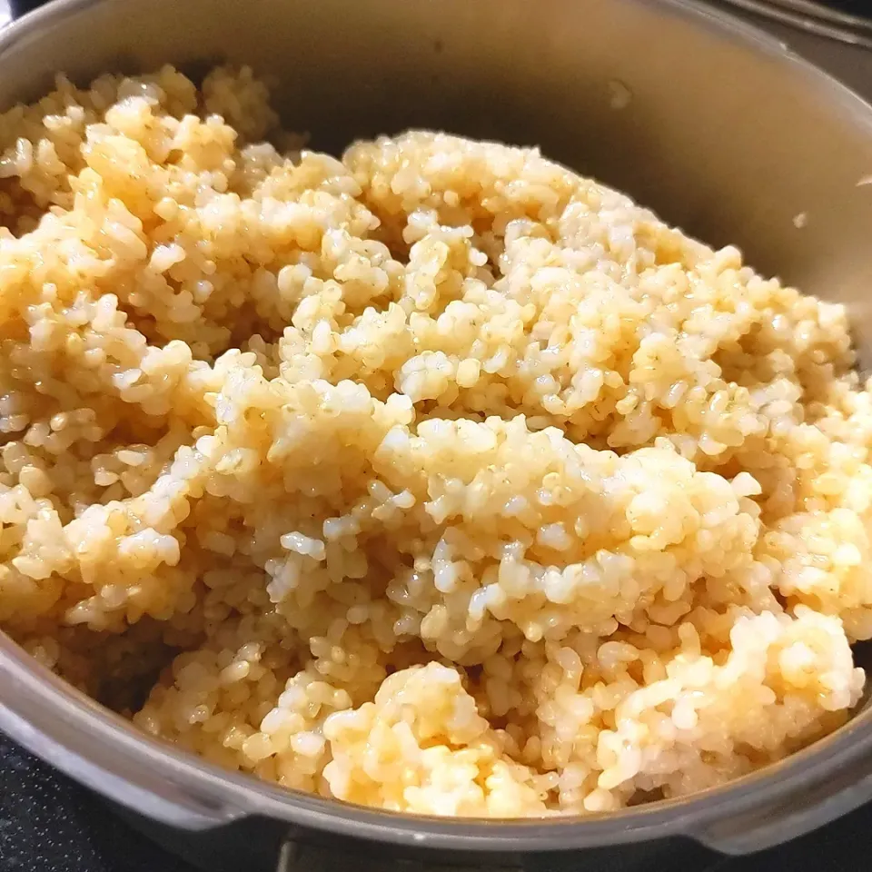 Snapdishの料理写真:さくたえちゃんから教わった発芽玄米ご飯🍙|チョコさん