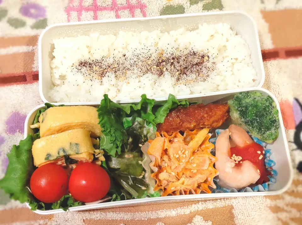 11月18日 今日のお弁当|ビアンカさん