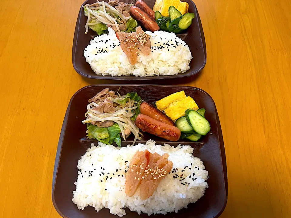 旦那とパートのおじさん弁当|ケイトママさん