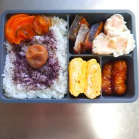 Snapdishの料理写真:お弁当　20231116|TENさん