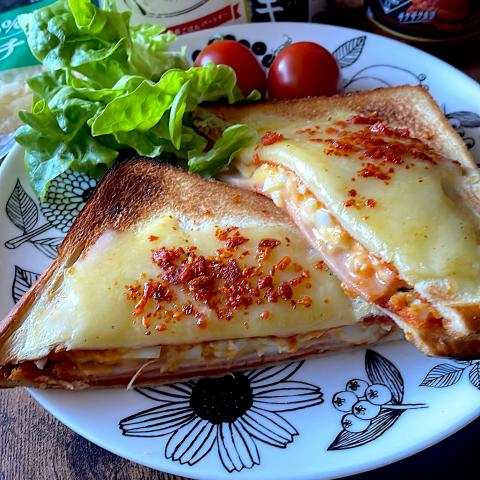 {Snapdishの料理投稿写真 { replace_noword(d['t']) }}