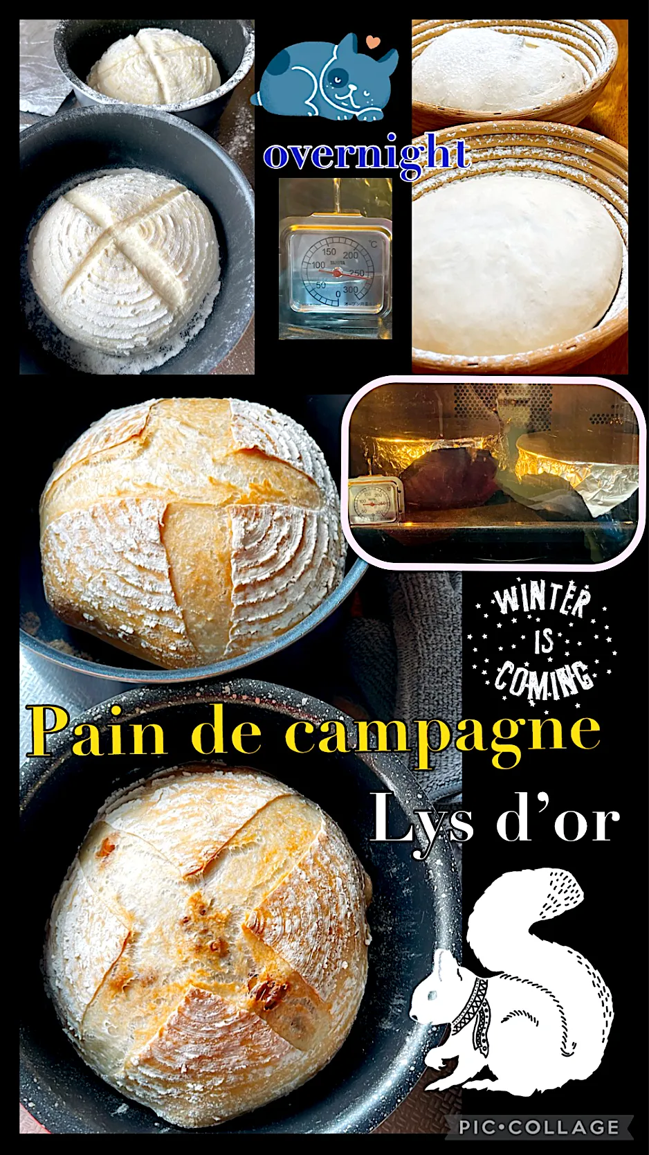 2023/11/19 胡桃入り田舎パン　Pain de campagne aux noix|Blueberry🫐さん