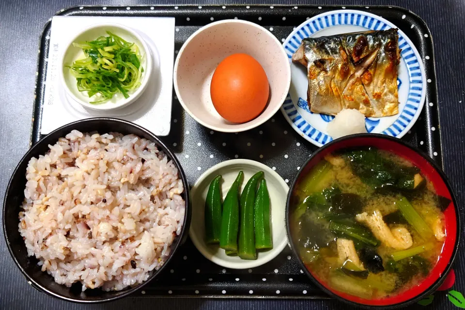 Snapdishの料理写真:今日の朝ごはん（十六穀ごはんにさば塩焼、生卵、納豆、江戸菜のみそ汁（小松菜のみそ汁）、おくら漬）|Mars＠釜飯作り研究中さん