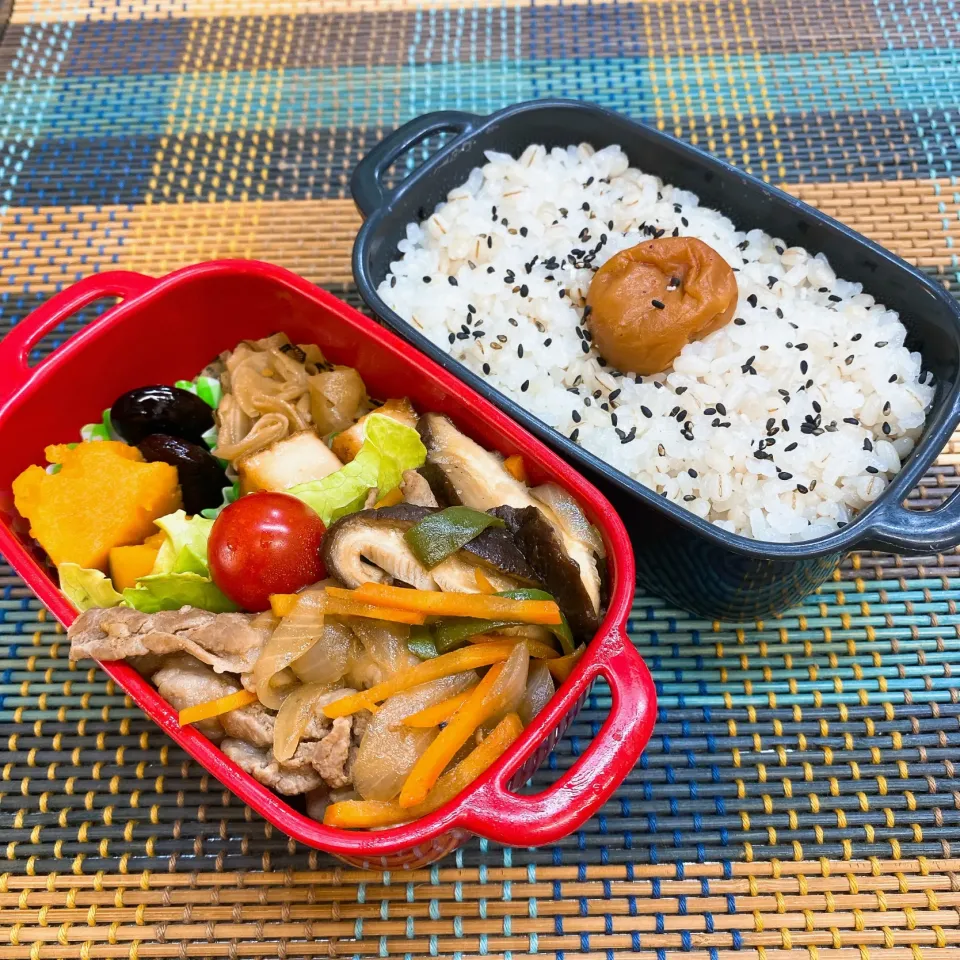 今日の旦那さんのお弁当|naoさん