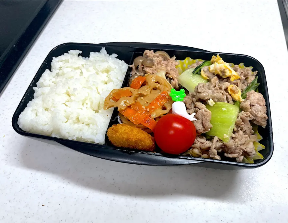 11/21 旦那弁当⁂ぶた肉と青梗菜の塩炒め弁当|ゆさん