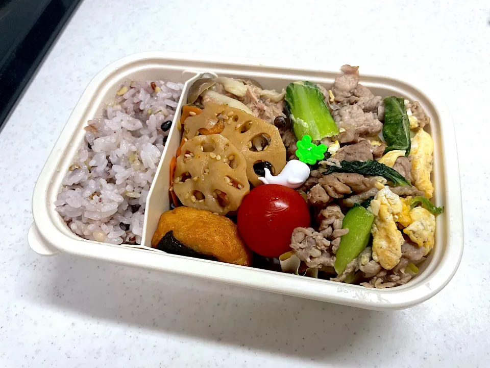 11/21 自分弁当|ゆさん