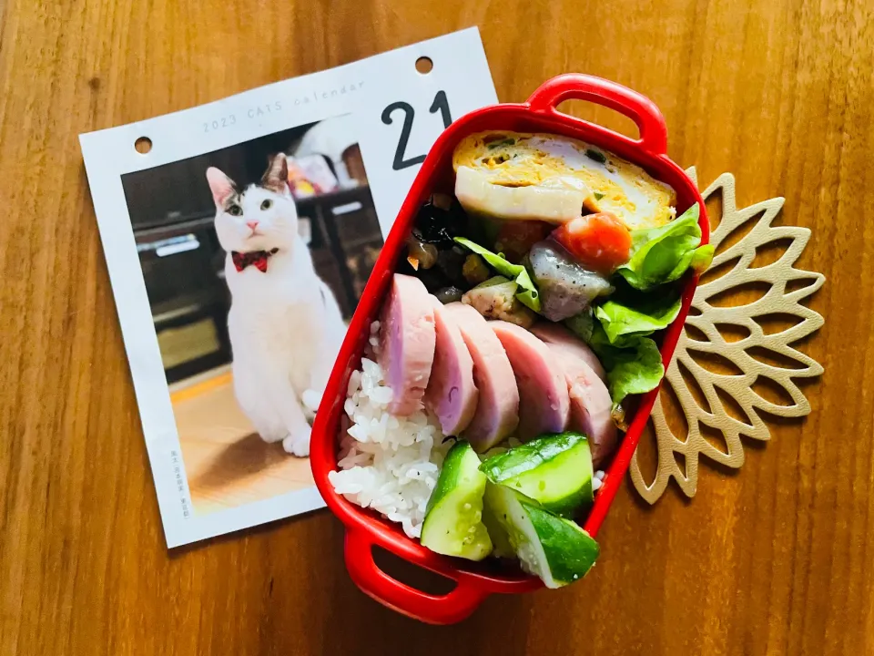 Snapdishの料理写真:20231121🍱今日の自分弁当🍱|akiyo22さん