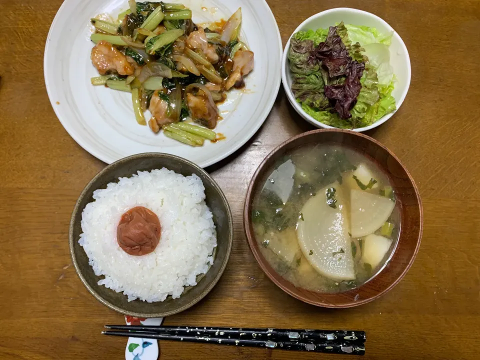 Snapdishの料理写真:夕食|ATさん