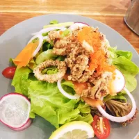 Snapdishの料理写真:Crispy Calamari Spicy Salad 🦑🥗🤤
...
...
That tastes sooooo YUMMY! 🫰🏻🥰|An'leeさん