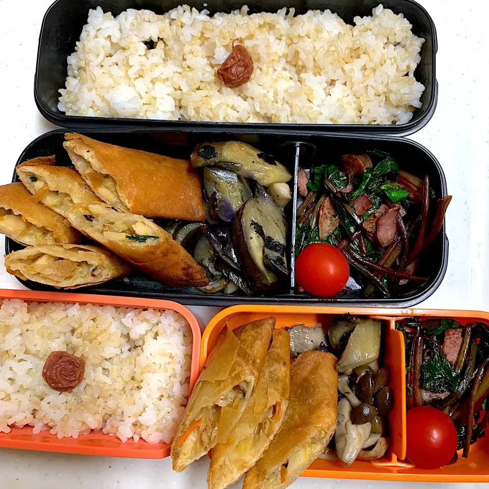 Snapdishの料理写真:今日のお弁当|Victoryageさん