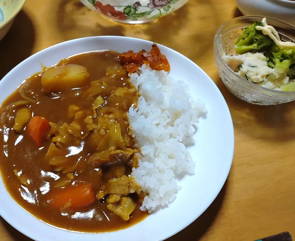 カレーライス|しまだ ちえこさん