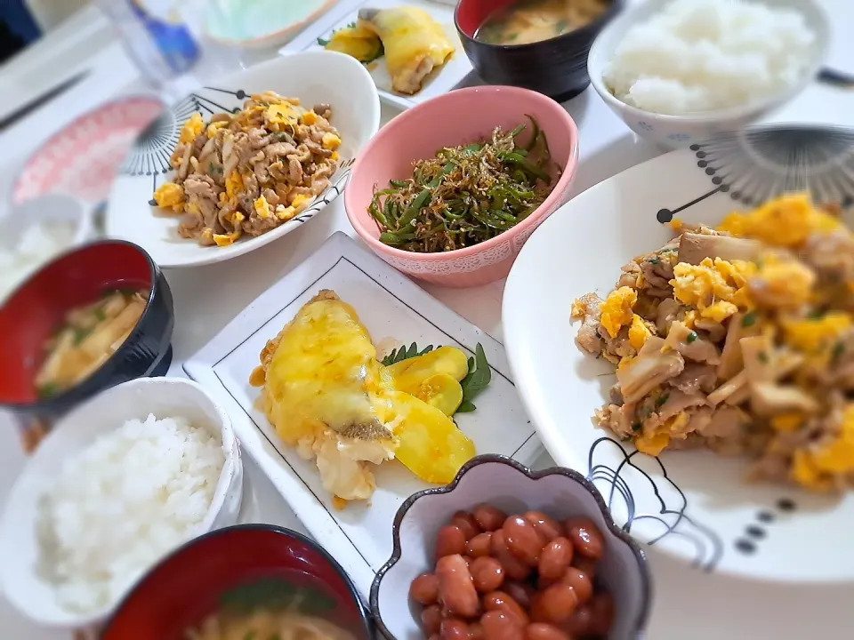 夕食(,,>᎑<,,)
豚肉とエリンギの卵炒め
鱈とポテトのチーズ焼き
ピーマンとじゃこのごま油炒め
金時豆煮
おみそ汁(豆腐、ワケギ、油揚げ)|プリン☆さん