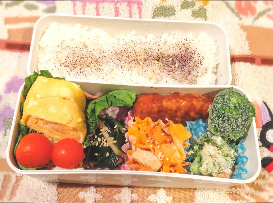 11月24日 今日のお弁当|ビアンカさん