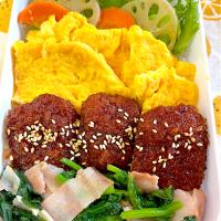 男子高校生のお弁当