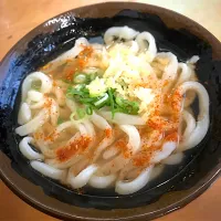 香川のうどん|yamさん