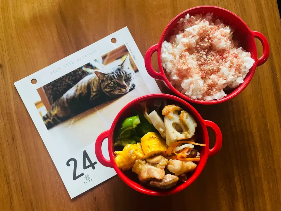 Snapdishの料理写真:20231124🍱今日の旦那さん弁当🍱|akiyo22さん