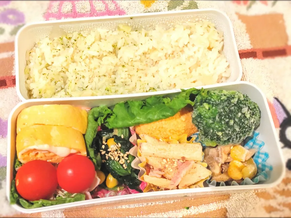 11月25日 今日のお弁当|ビアンカさん