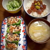 本日の夕食