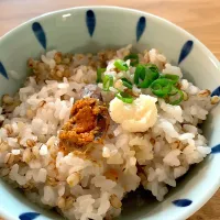 鮒寿司お茶漬け|大庭 紀子さん