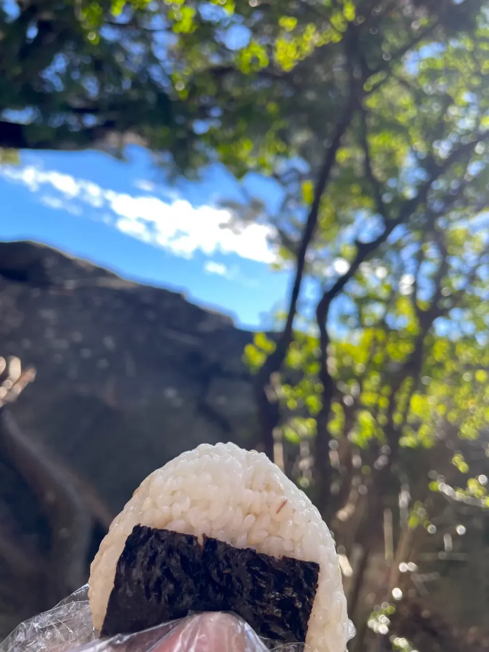 Snapdishの料理写真:山頂でおむすび🍙|yucca@さん