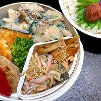 今日のお弁当🍱