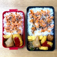 Snapdishの料理写真:夫婦のお弁当🍱|むさけんさん