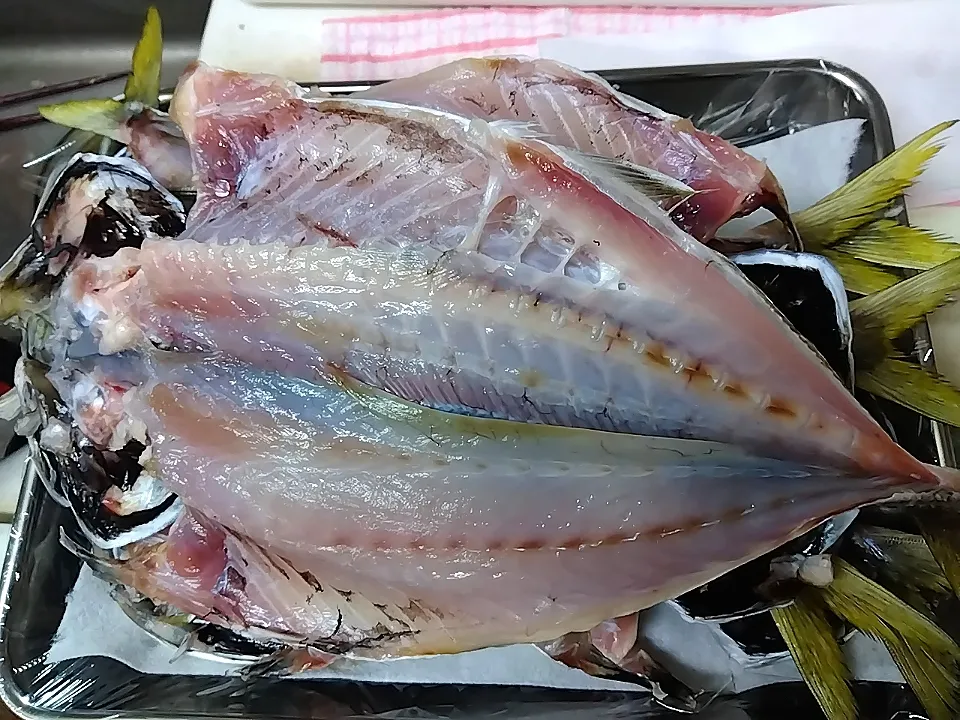 アジの干物|ひとり飯さん