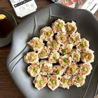 『ビタントニオ使いたおし隊』フードスチーマーで由美さんの料理 焼売