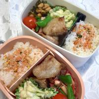 娘たちのJK弁当〜