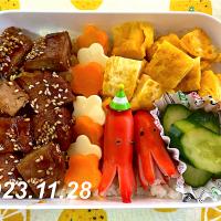男子高校生のお弁当