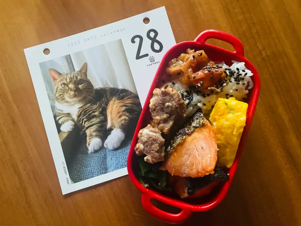 20231128🍱今日の自分弁当🍱|akiyo22さん