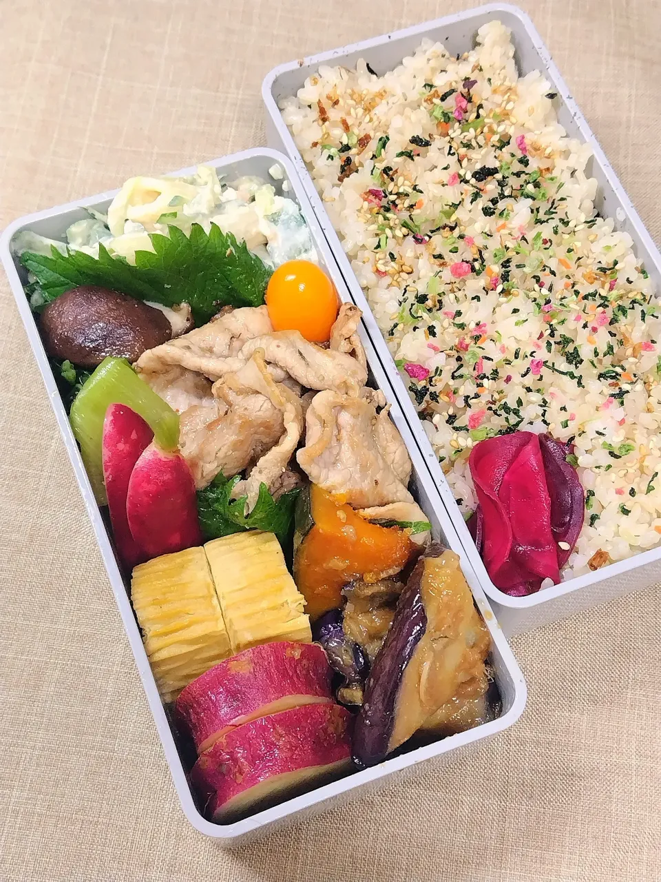 今日のお弁当|めしだママさん