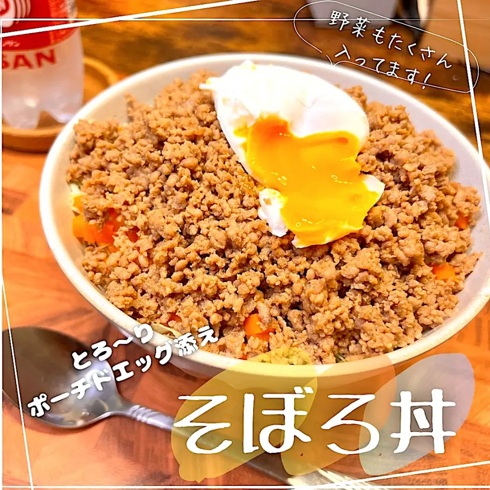 そぼろ丼|豆の種～1人暮らしのご飯～さん