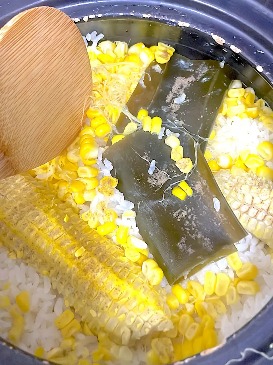 |ぽんぽこまめだ。さん