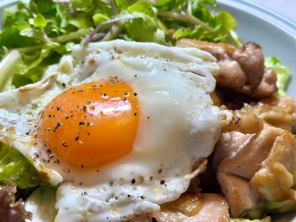 Snapdishの料理写真:チキンステーキサラダ🥗|HALさん