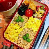 JK弁当１２４～みそそぼろの２色弁当