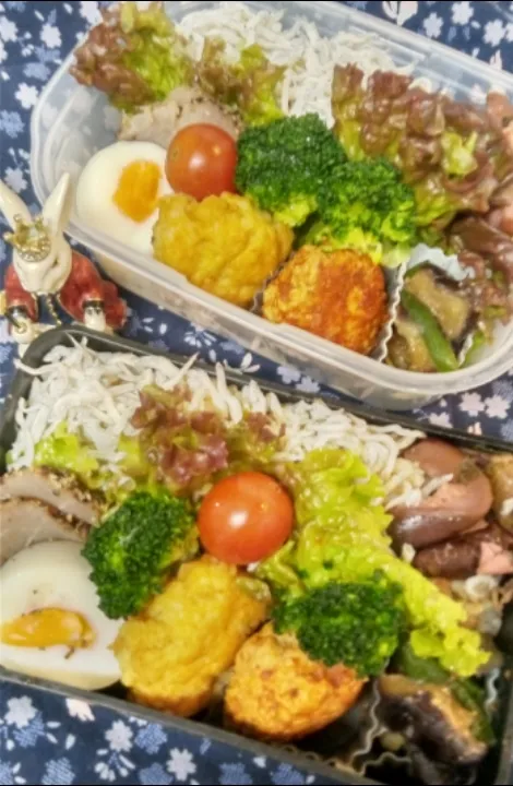 ゛23．12/1
本日のお弁当🍱|たえさん