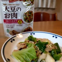 Snapdishの料理写真:大豆のお肉で回鍋肉|babyleafさん