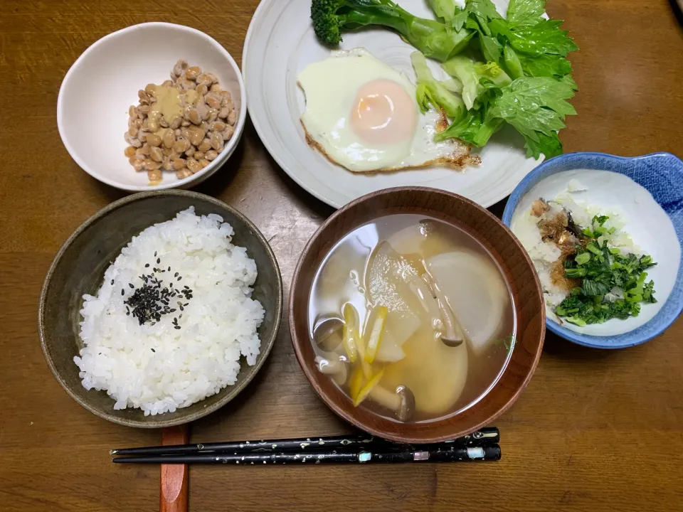 昼食|ATさん