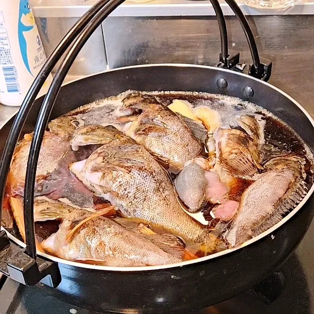 アホみたいに釣れるからカサゴの煮付け|ちゃらりんこクック とっしー😋さん