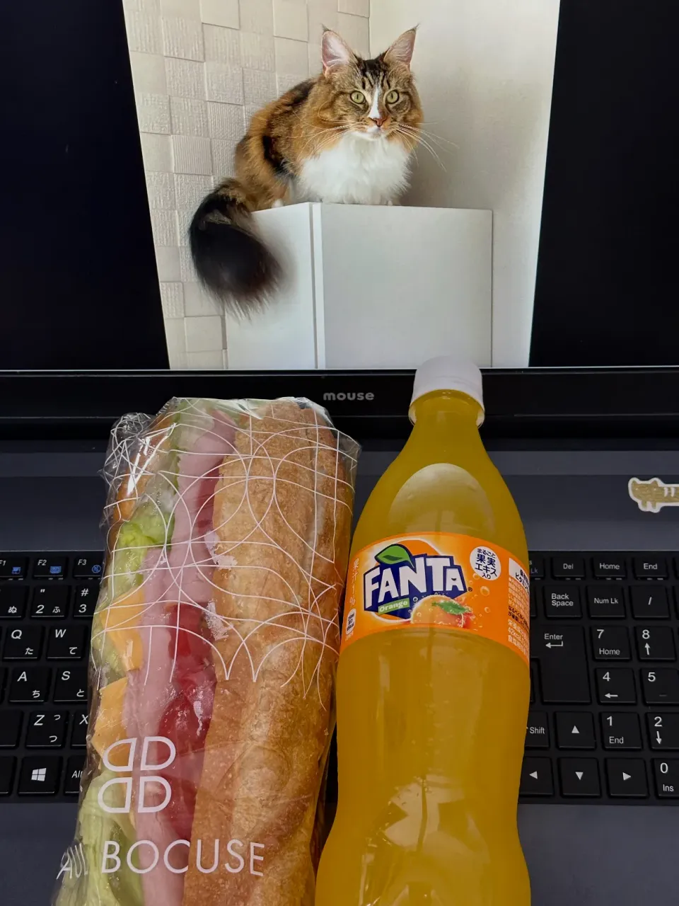 Snapdishの料理写真:お昼ごはん🥪|にゃあ（芸名）さん