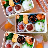 おにぎりと鮭の味噌焼き弁当