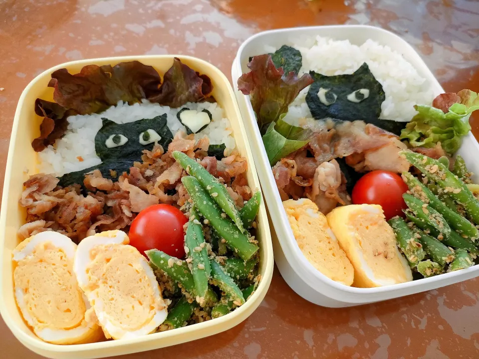 ねこ弁当

生姜焼き弁当作りました。
おばぁちゃんとおじいちゃんに作りました❤️|punianさん