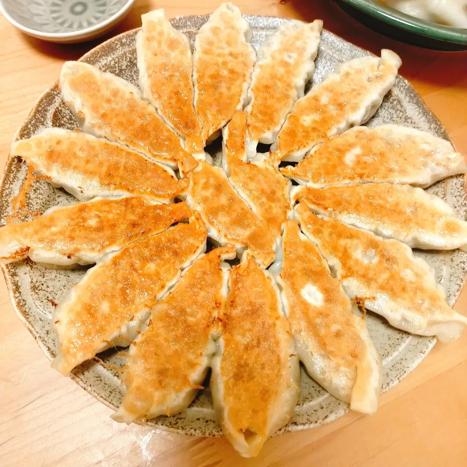 Snapdishの料理写真:手作り餃子🥟 ̖́-焼き餃子|さらささん