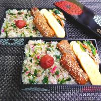 母とムスコのラブラブおソロ♪ラディッシュの塩漬け混ぜご飯弁当