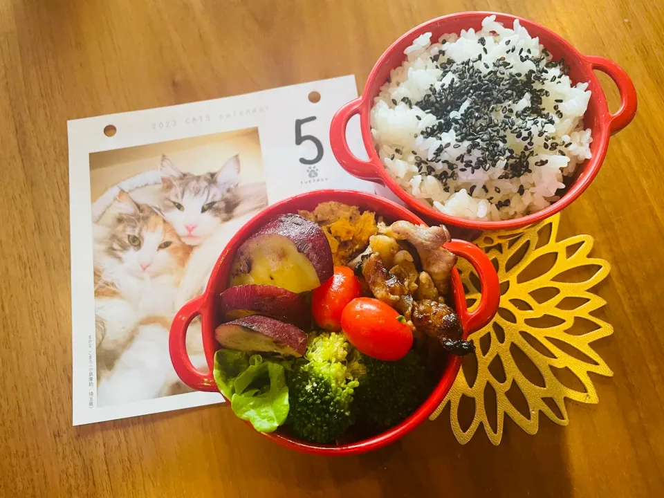 Snapdishの料理写真:20231205🍱今日の自分弁当🍱|akiyo22さん