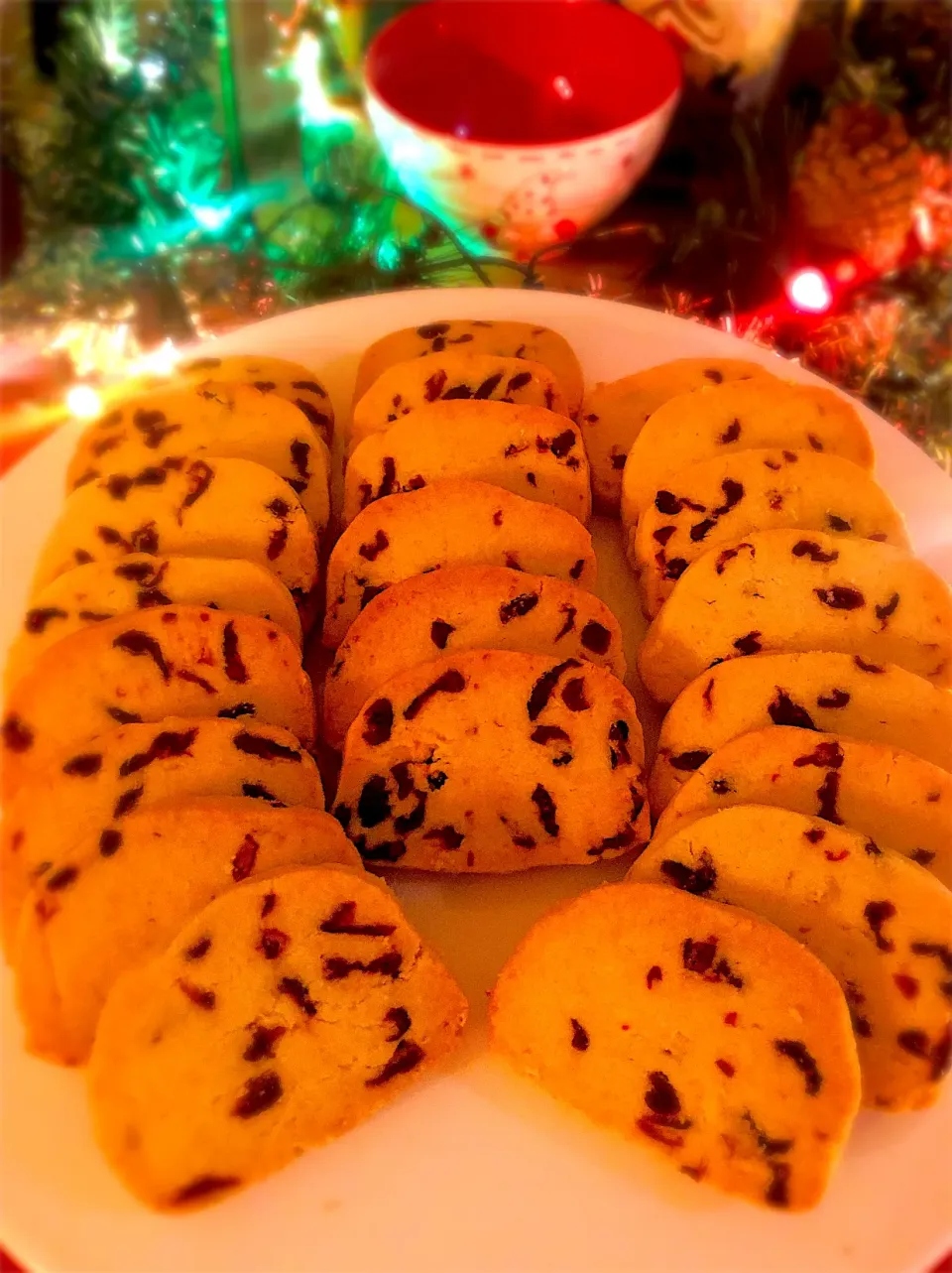 Cranberry orange shortbread|K8TCRE8TZさん