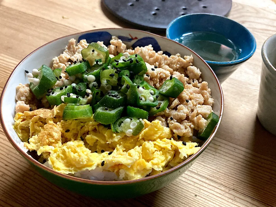 三食丼で昼ご飯🍚|ひーさん