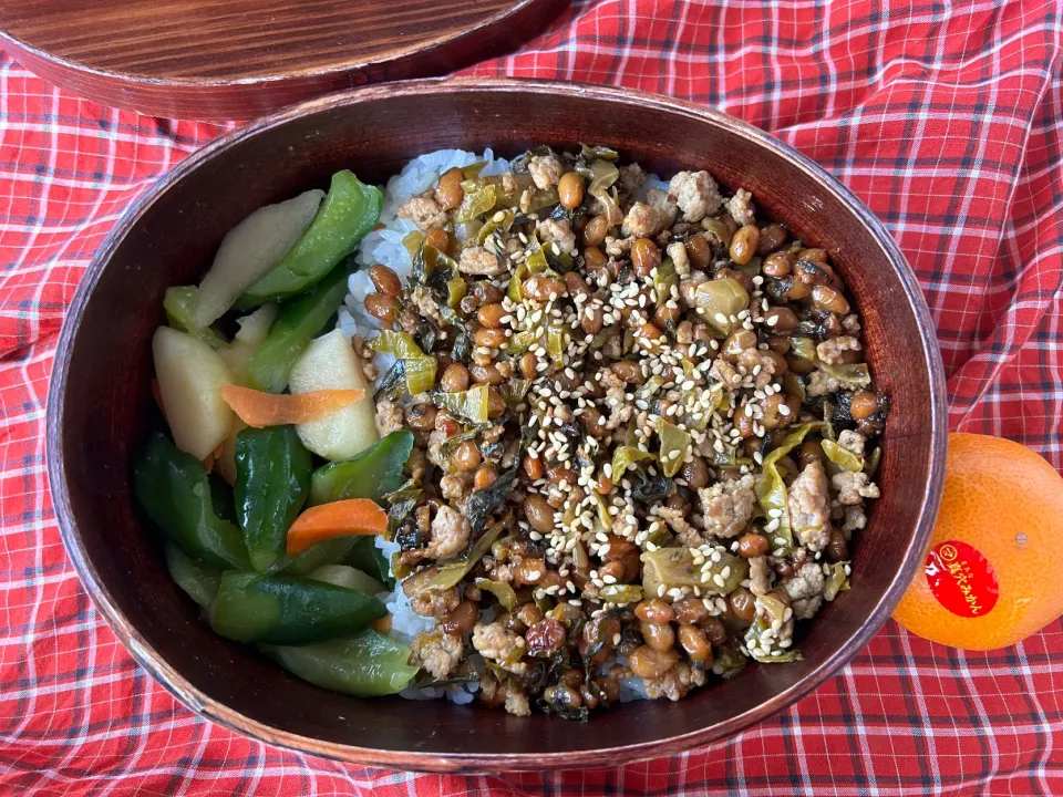 納豆高菜そぼろ丼弁当|*なおみん*さん